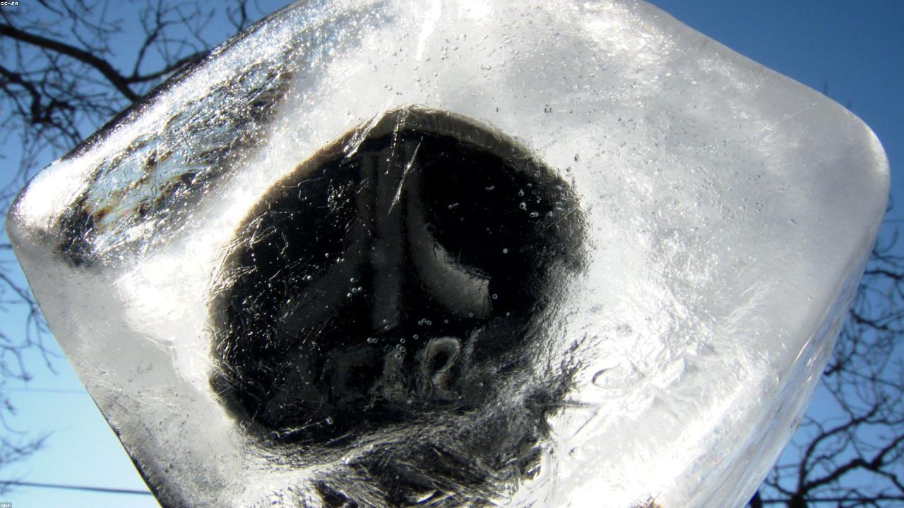 브랜드 마크 패치 클로즈업